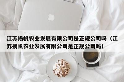 江蘇揚(yáng)帆服飾 深耕針紡織品領(lǐng)域的專(zhuān)業(yè)供應(yīng)商